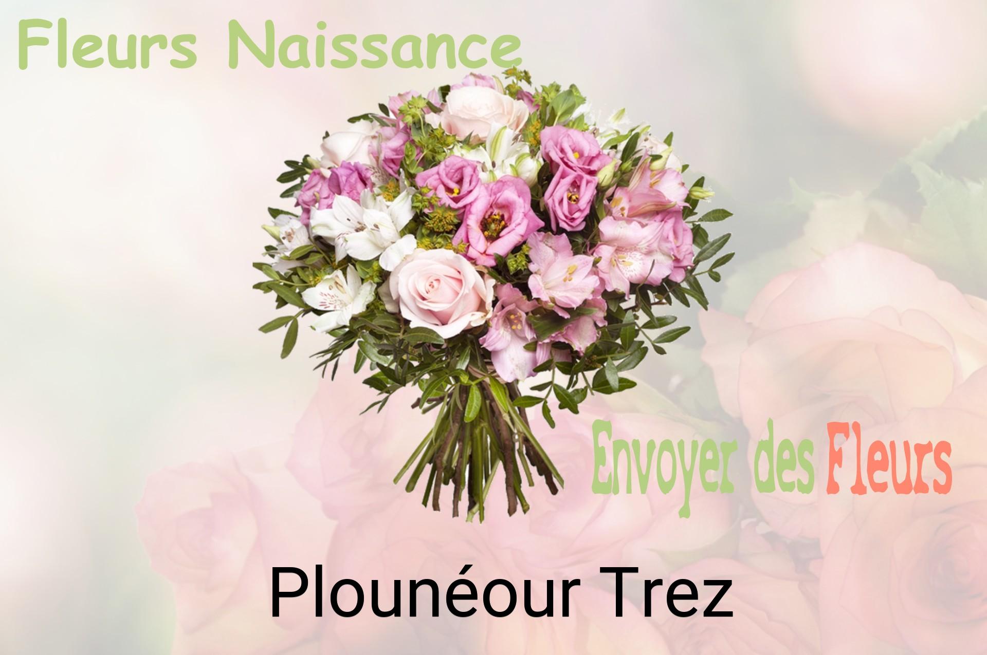 Bouquet de fleurs de naissance livré à Plounéour-Trez